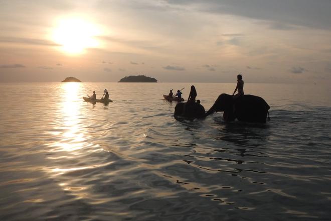 Swimming in the water on the backs of elephants and kayaking