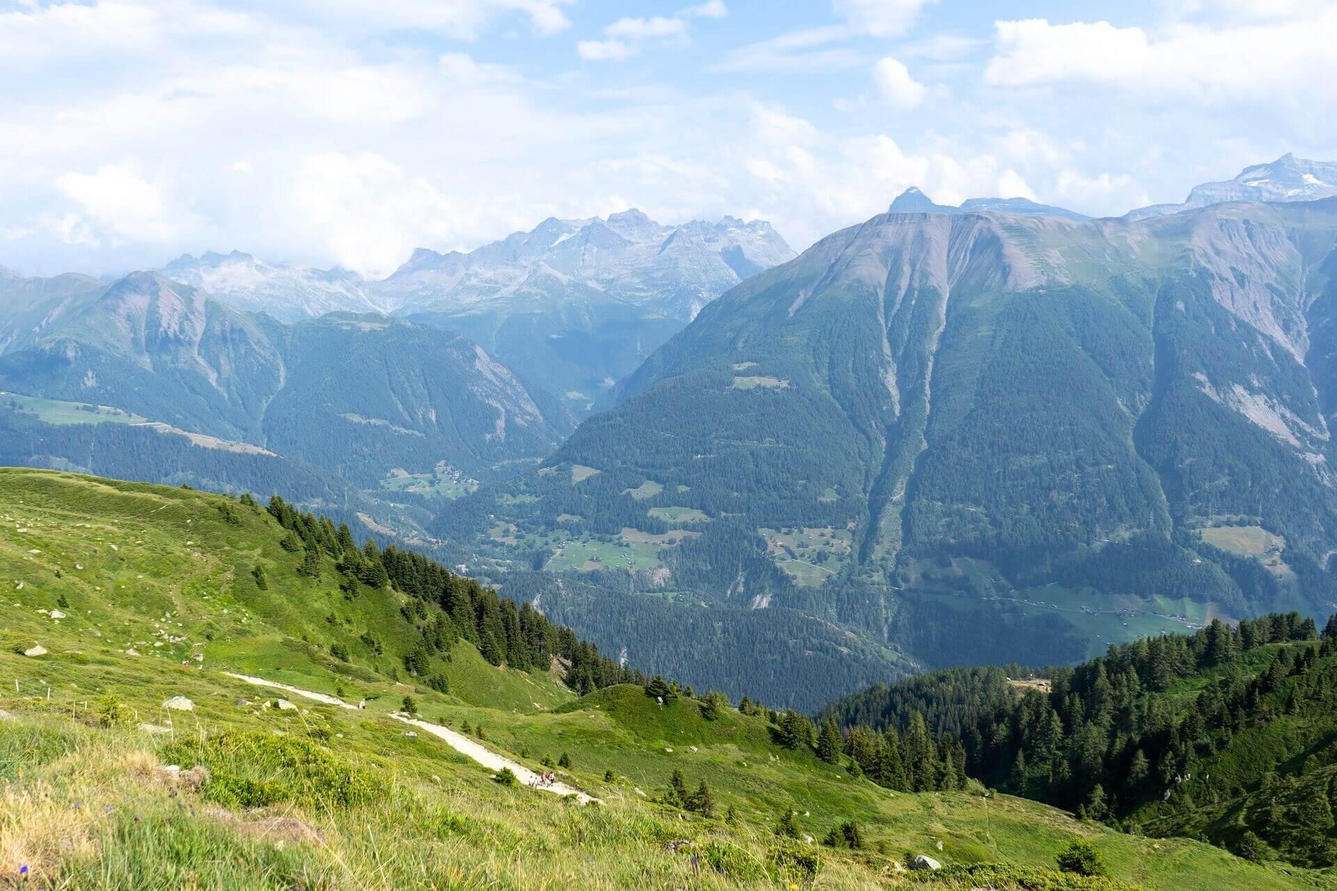 View of mountains, green meadows and forests in Aletsch arena, Switzerland