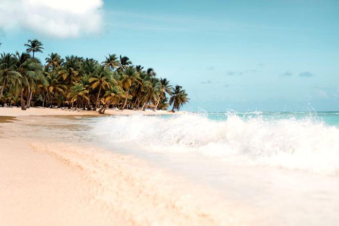 Beach and palms in the Dominican Republic