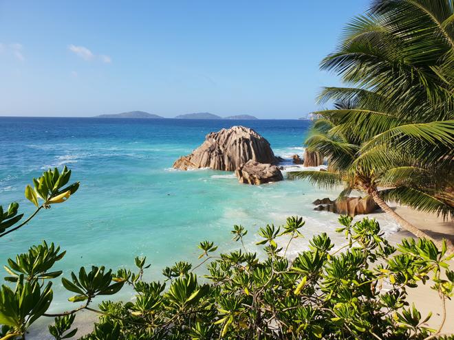 Seychelles: clear sea and palm trees