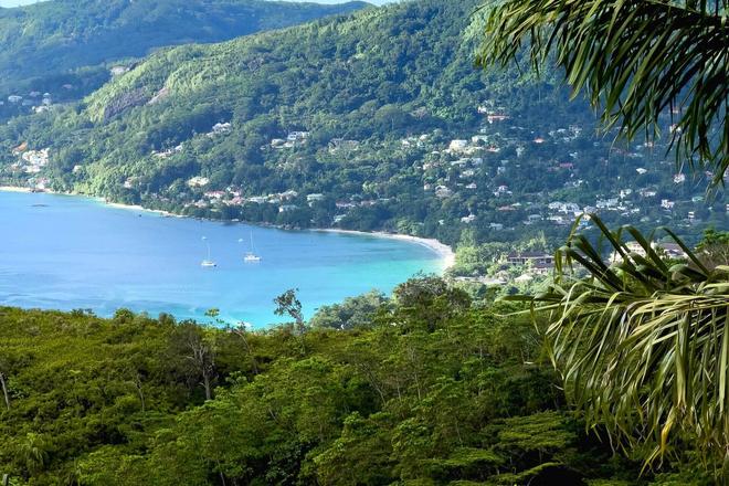 View of the forest and a bay in Seychelles