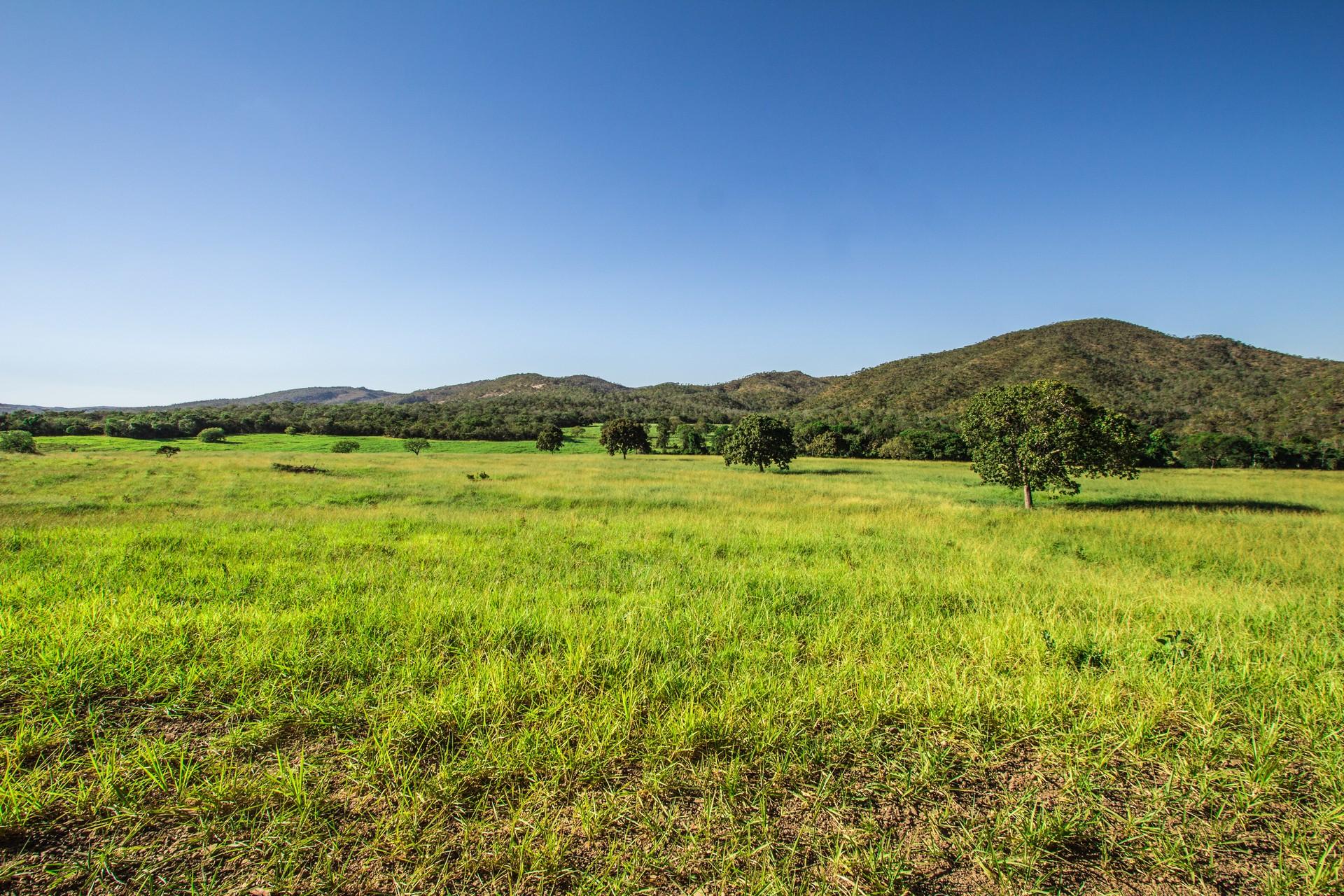 Countryside near Pirenópolis on a sunny day