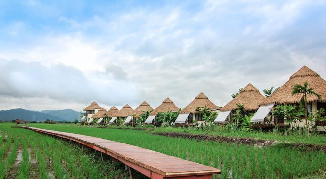 Thailand Chiang Saen: houses in the field.