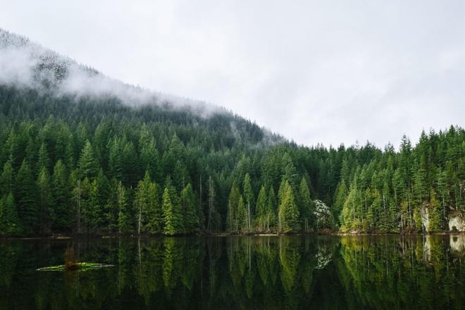 View of a lake, forest and a mountain in Vancouver