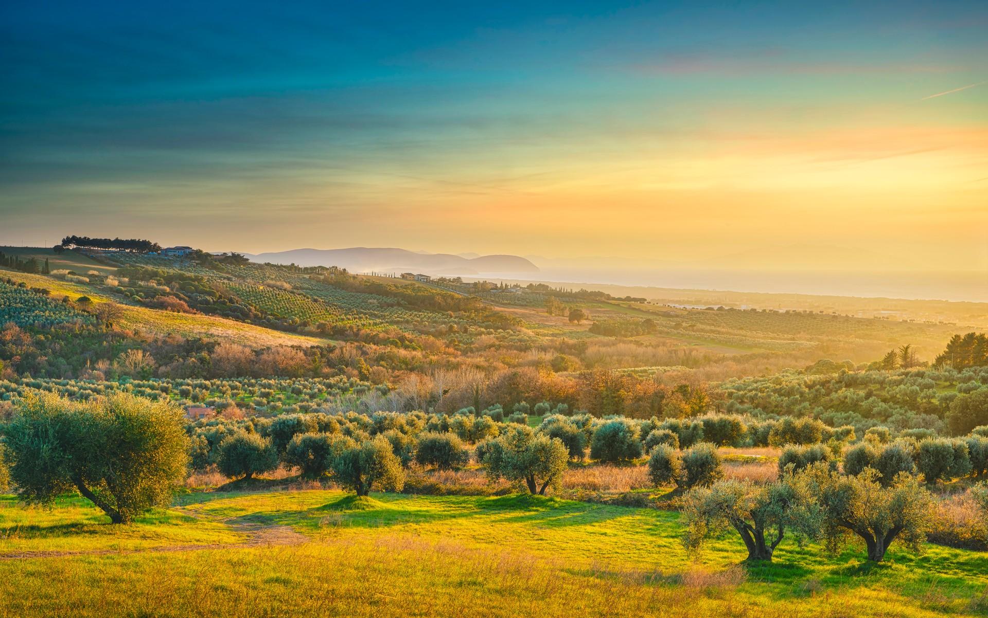 Countryside in San Vincenzo at dawn