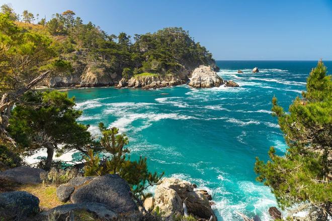 View of the rocky coast, trees and ocean