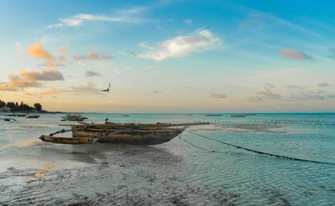 Zanzibar sunset on the beach with boat and a bird.