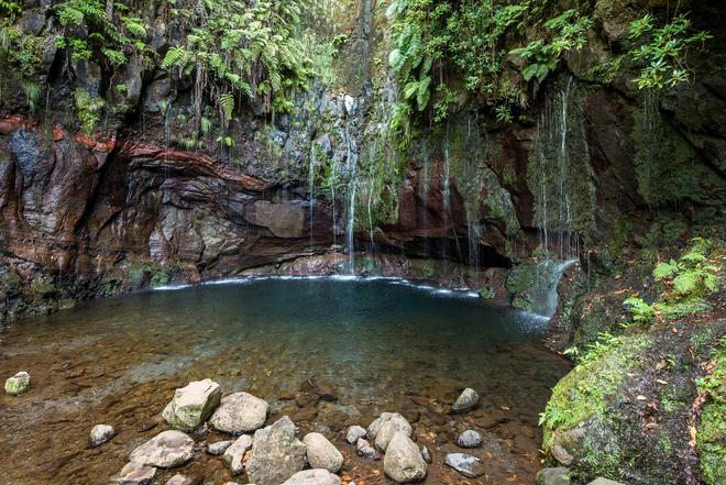 Madeira: waterfall with ferns