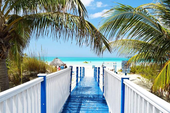 View of a blue bridge leading to a beach surrounded by palm trees in Cuba