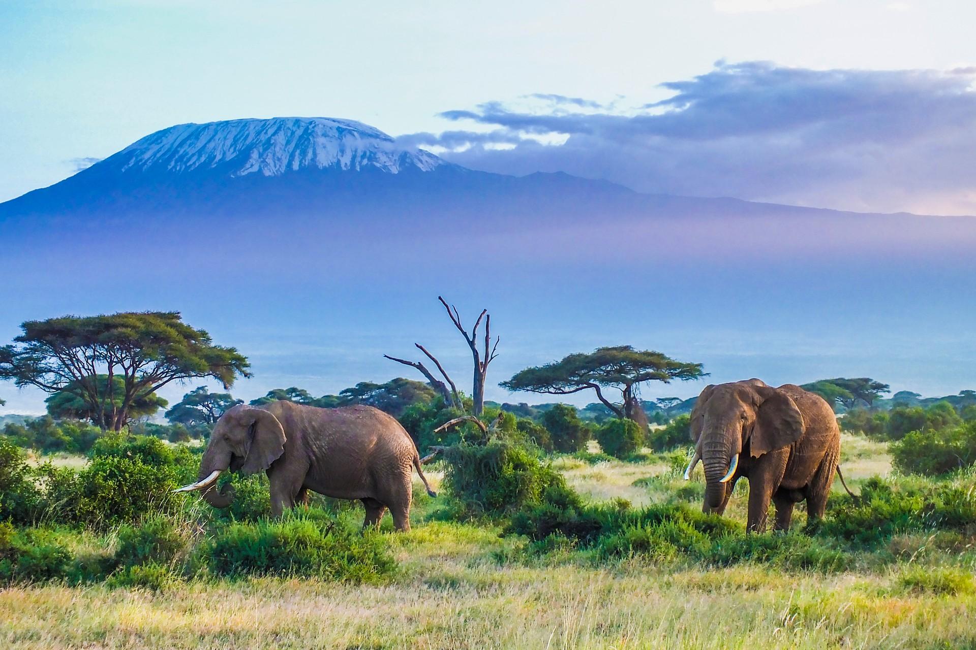 Countryside in Kilimanjaro Game Reserve on a sunny day with some clouds