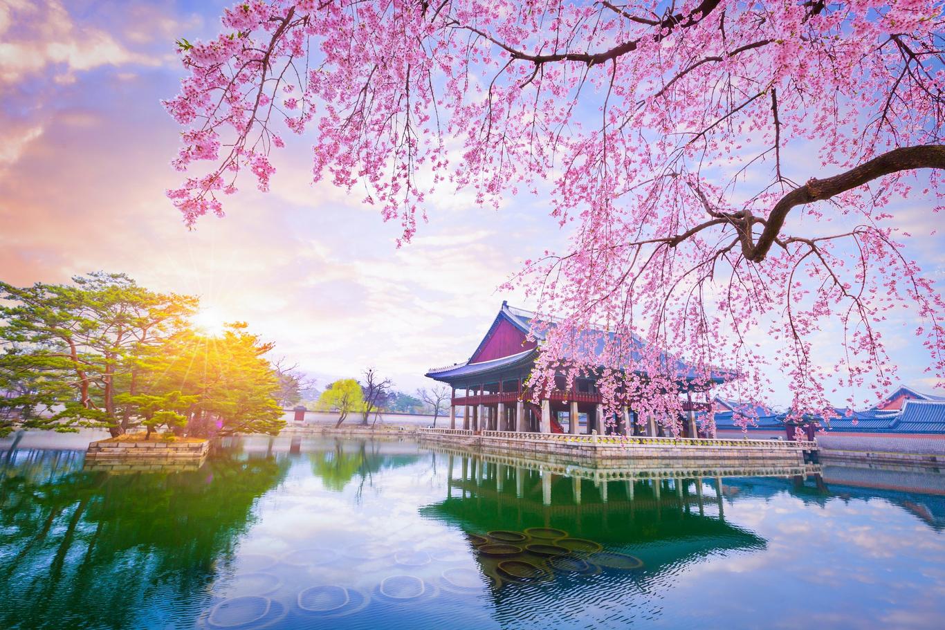 South Korea weather in December Sunheron
