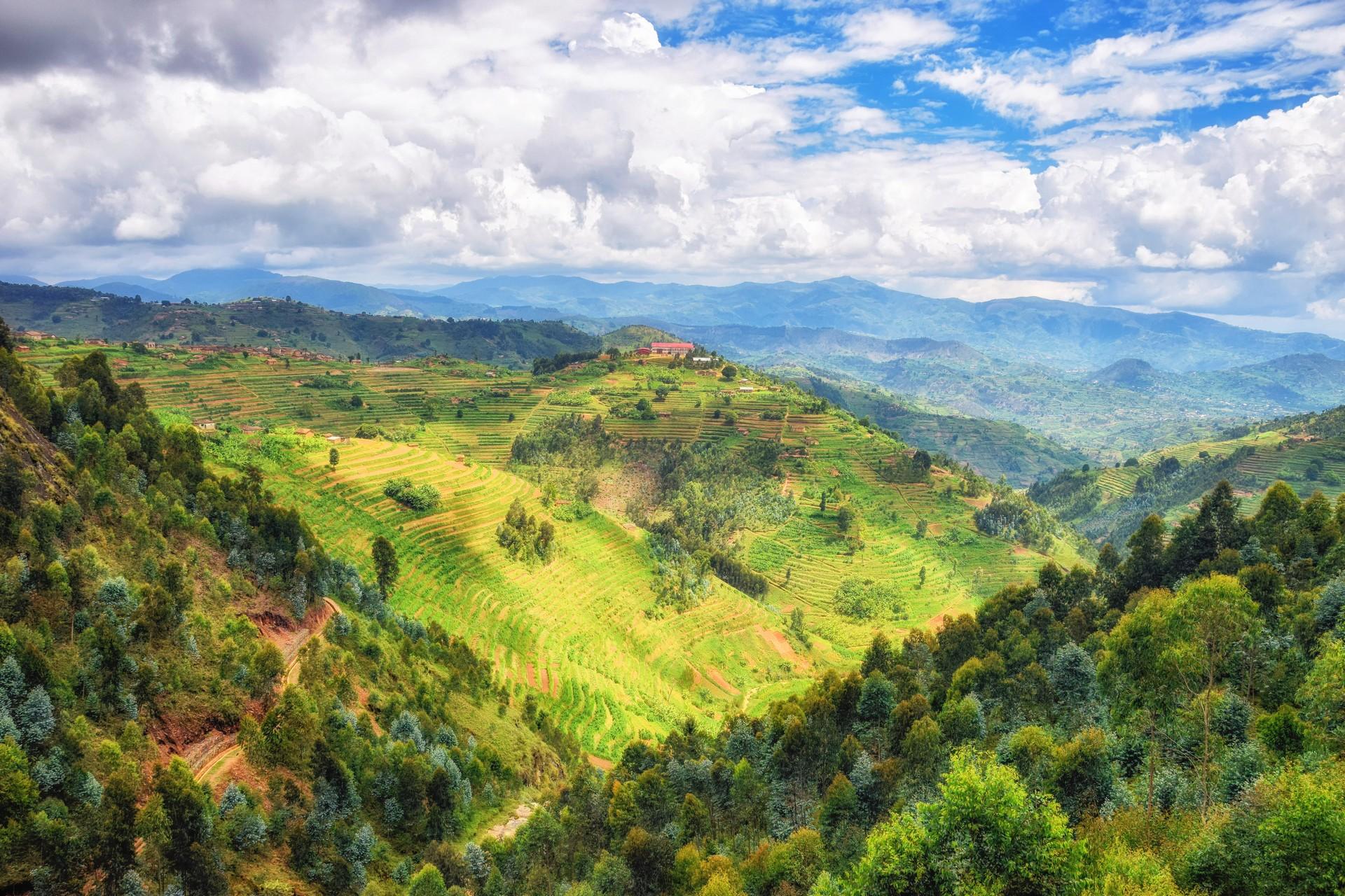 Countryside in Nyungwe Forest with cloudy sky