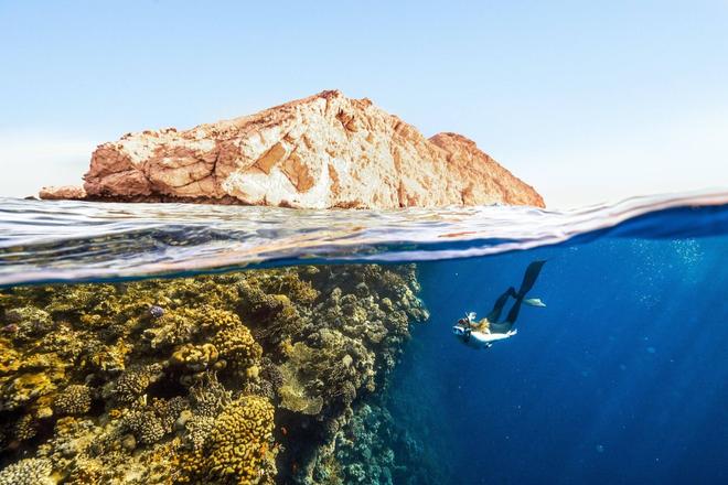 View of a barrier reef and a diver next to it in Belize