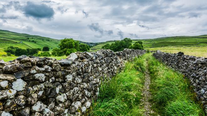 English landscape with a typical stone wall.