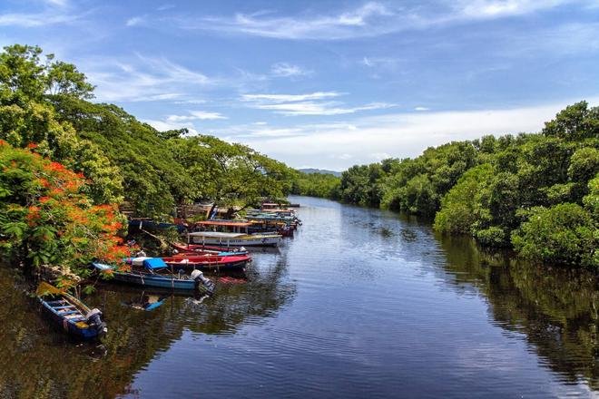 View of multiple boats on the Black River surrounded by forest