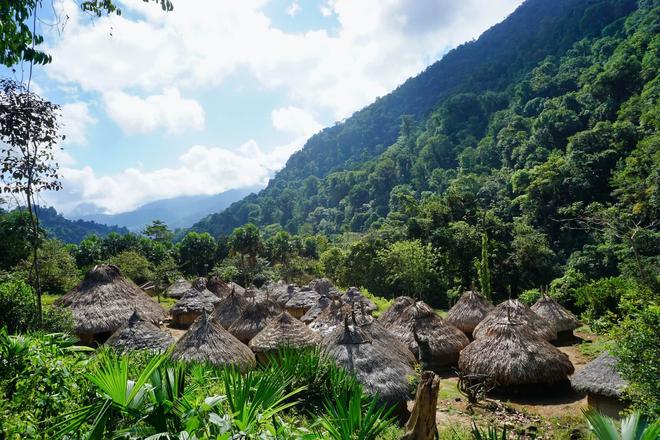 View of some cottages in the middle of a forest in Tayrona National Park