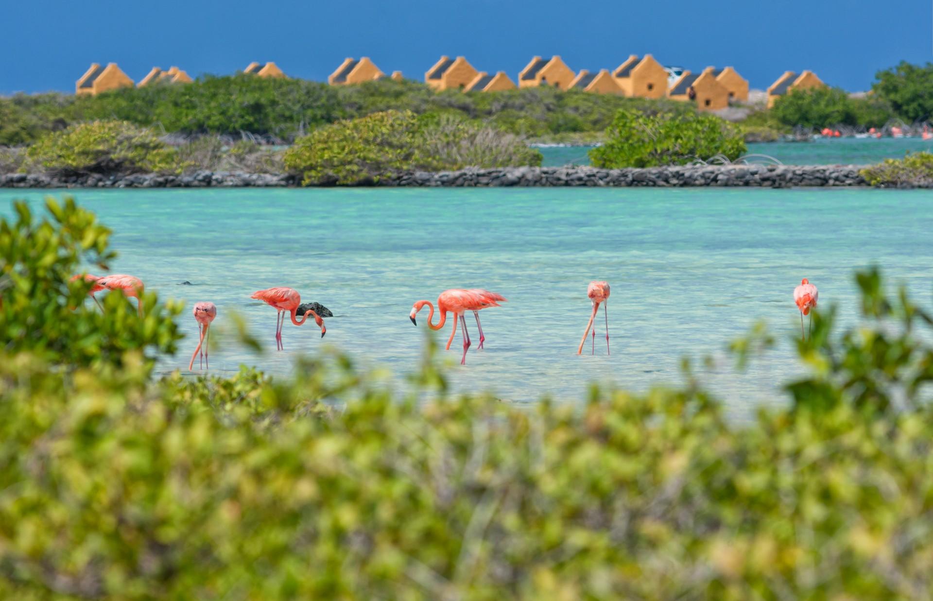 Lake in Bonaire on a sunny day