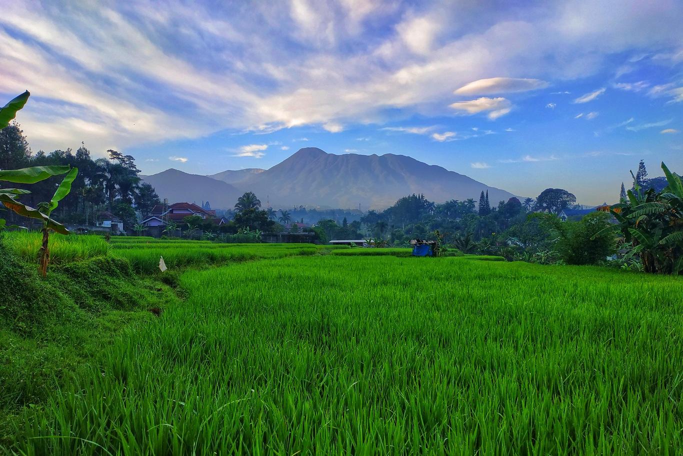 West Java - Indonesia weather in February 2026 | Sunheron