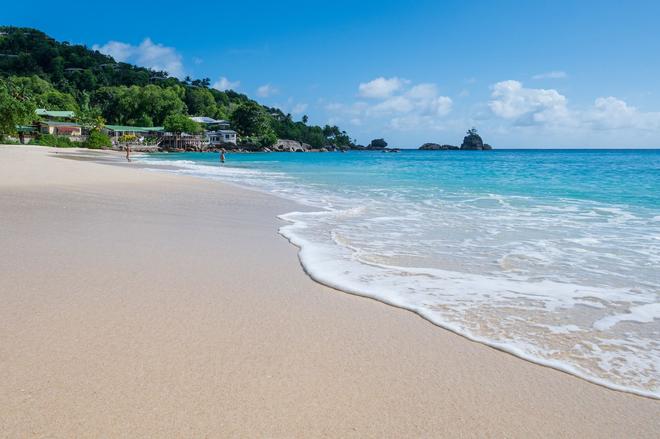 Beach and trees in Seychelles