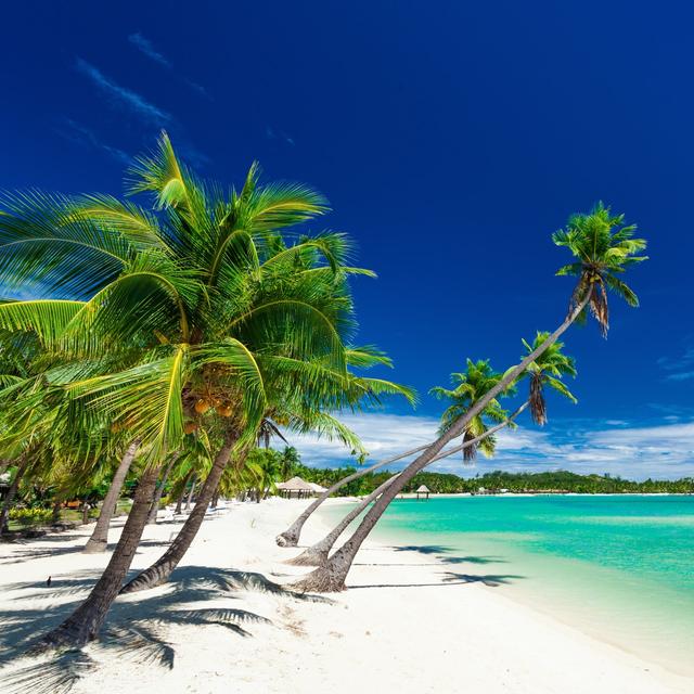 Fiji weather in August 2025 Sunheron