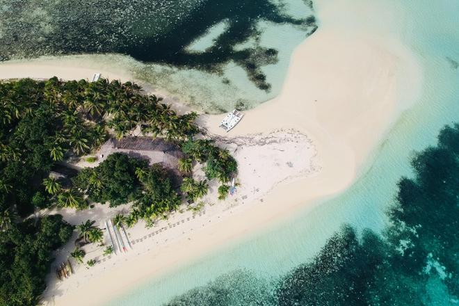 View of a forest and a white beach