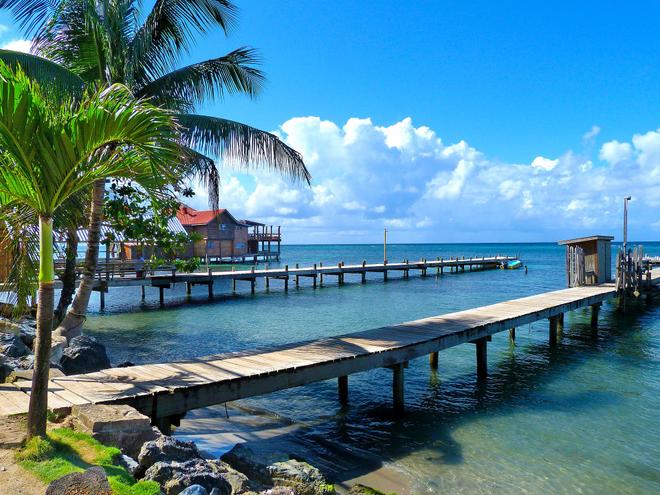 Piers and palms on the coast of Honduras on Roatán island.