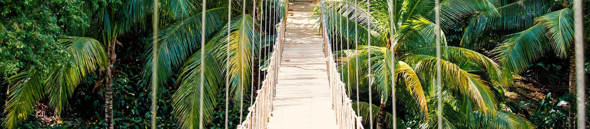 Bridge in Roatán
