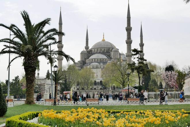 View of the Blue Mosque surrounded by a park in Istanbul