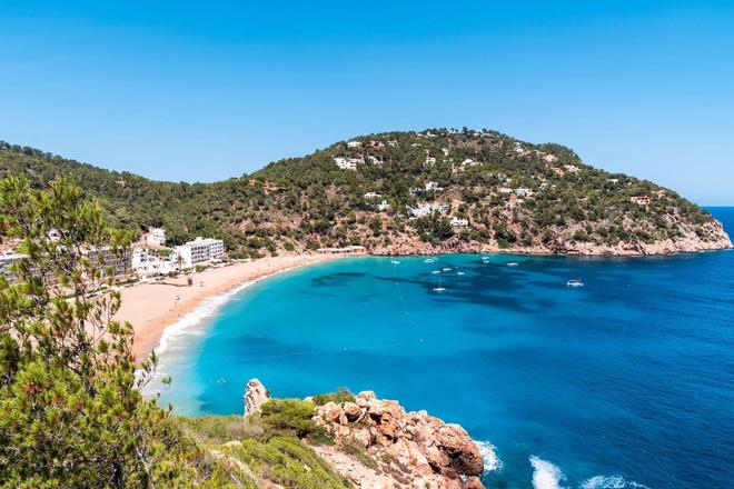 Beach landscape surrounded by trees and blue sea