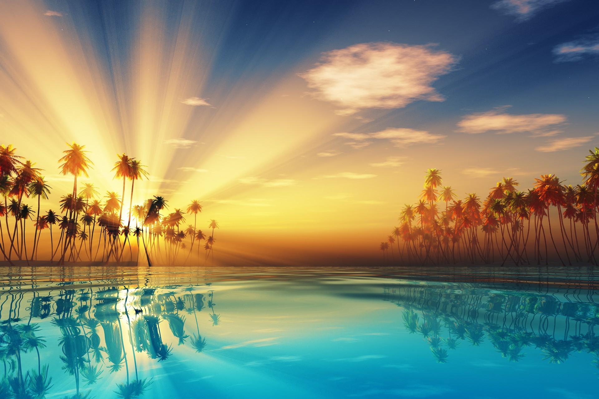 Hawaii: sea with palm trees in the background at sunset.